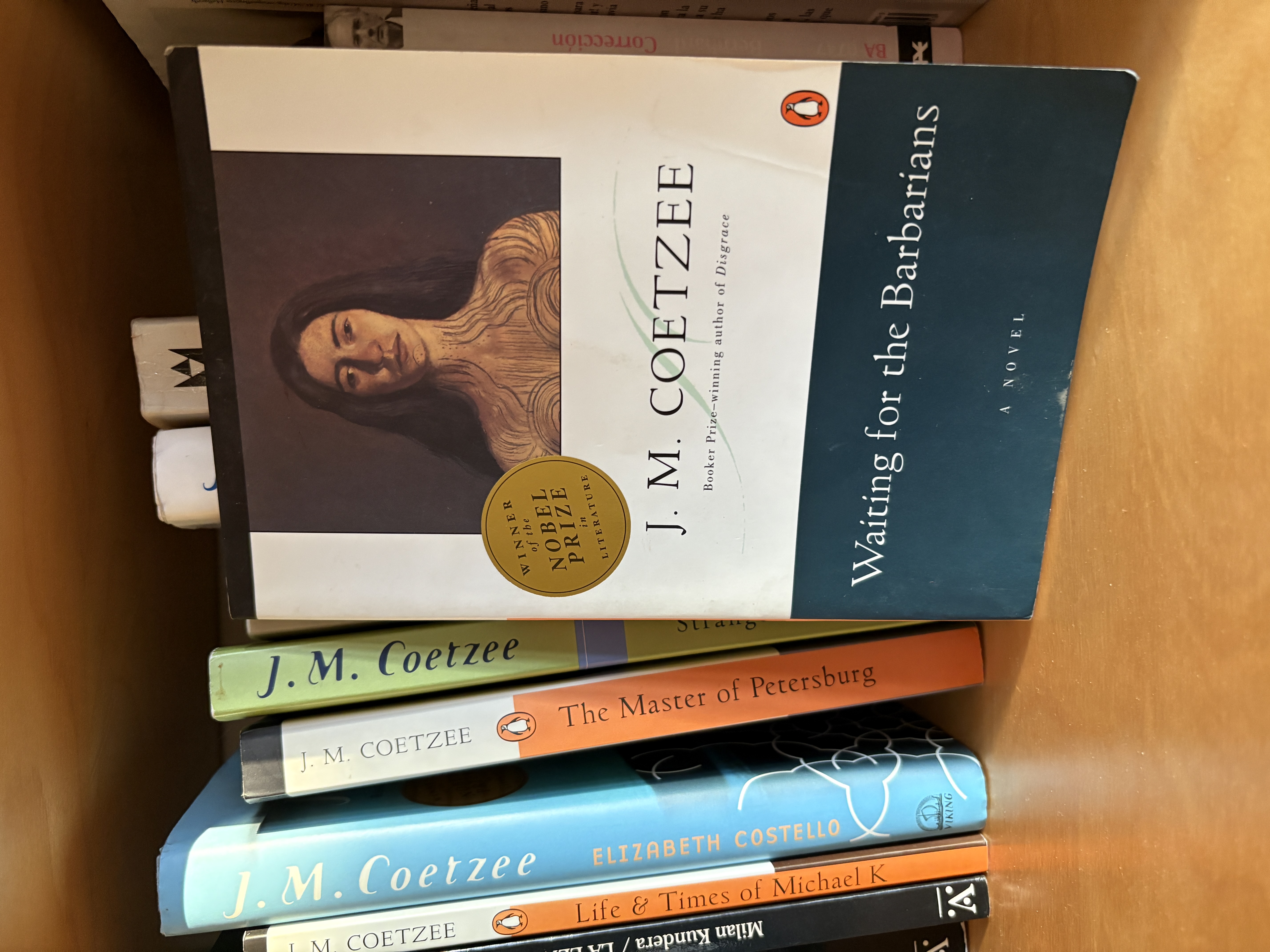libros de Coetzee